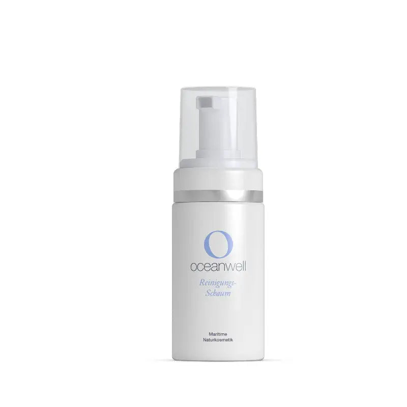 REINIGUNGSSCHAUM VPE 6 x 100 ml | Spezialprodukte.